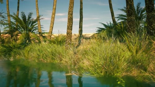 Lush Oasis Surrounded By Palm Trees and Vibrant Greenery in a Serene Landscape