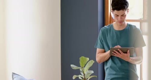 Young Adult Using Tablet Device Indoors by Window