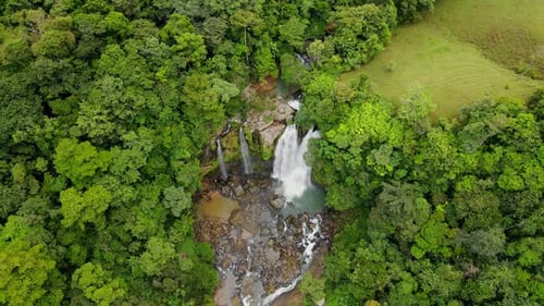 Lush Green Forest and Waterfall Aerial View