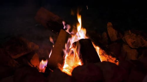 Campfire Burning in Dark Night with Vibrant Flames