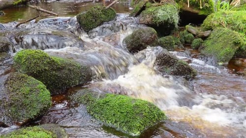 Woodland landscape. Small stream or river meandering slowly through rocks creating waterfalls. River