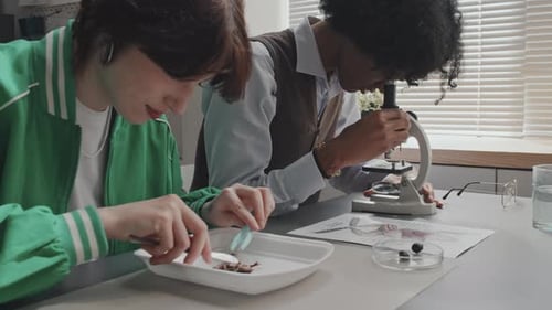 Students Studying Insects in the Science Classroom