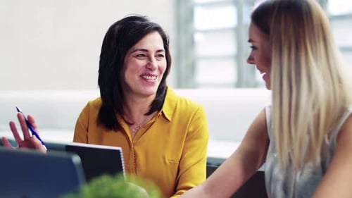 Female Businesspeople with Laptop in Office Expressing Excitement