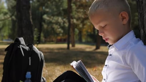 Ein kleiner Schüler liest ein Buch auf dem Rasen auf dem Schulhof in der Nähe eines Baumes