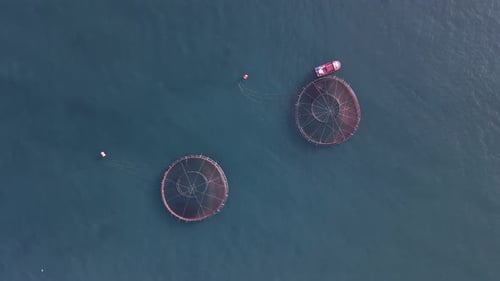 Salmon Ponds At Sea