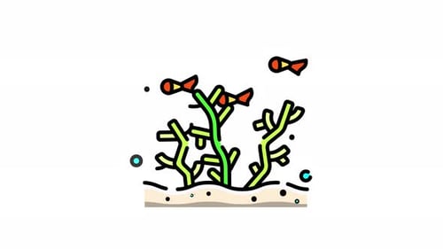 Sea Coral