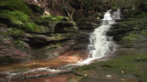A waterfalls in the forest in the summer with green moss growing on the rocks.