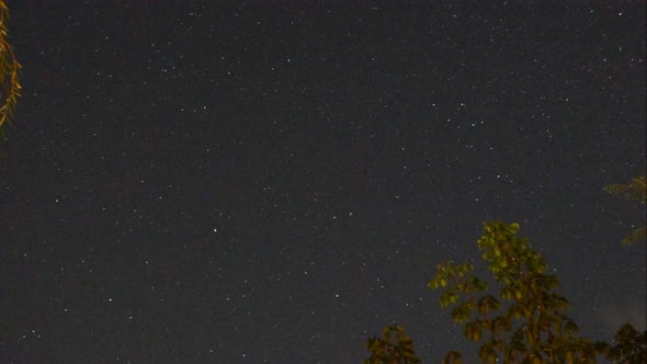 Astro timelapse from the garden with trees in the foreground.4K, Time ...