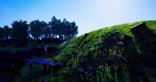 Sonnenschein, der tagsüber grüne Hügel mit Bäumen und Felsen beleuchtet