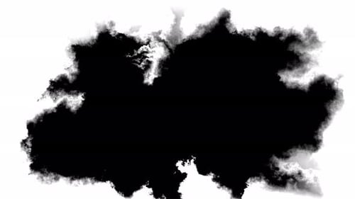 Organic Ink Spill Reveal Transition with Alpha Channel