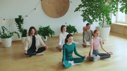 Group Practicing Yoga Meditation Indoors