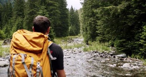 Hiker with Backpack Walks by Forest Stream