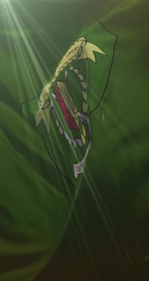 Animated Waving Flag Reveal with Ornate Emblem Design