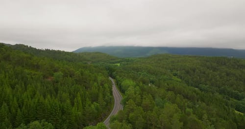 Highway curves between lush green forest trees, backdrop of misty mountains