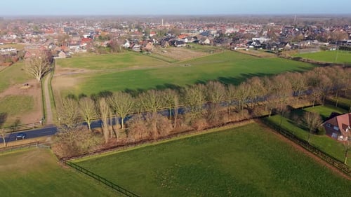 Aerial view of vibrant green agricultural fields divided by a winding country road and rows of trees