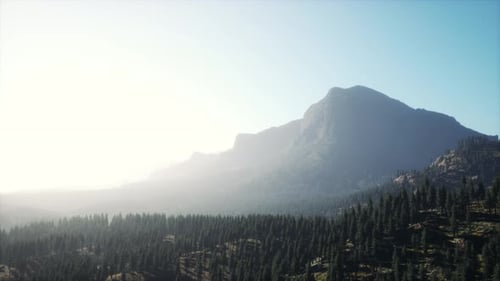 Bela paisagem natural no verão