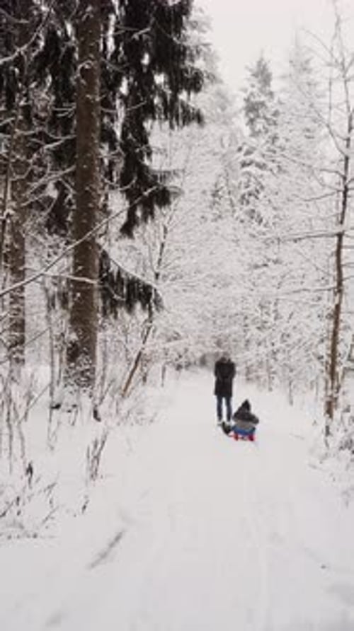 Papa fait rouler son fils sur un traîneau rouge dans une forêt d'hiver en agitant les mains, plan vertical