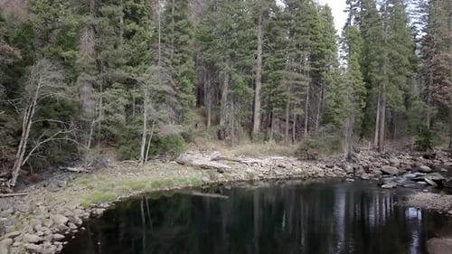 River Full of Stones with Water Flowing Through Them