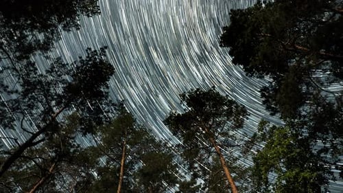 Star Trails in the Night Sky