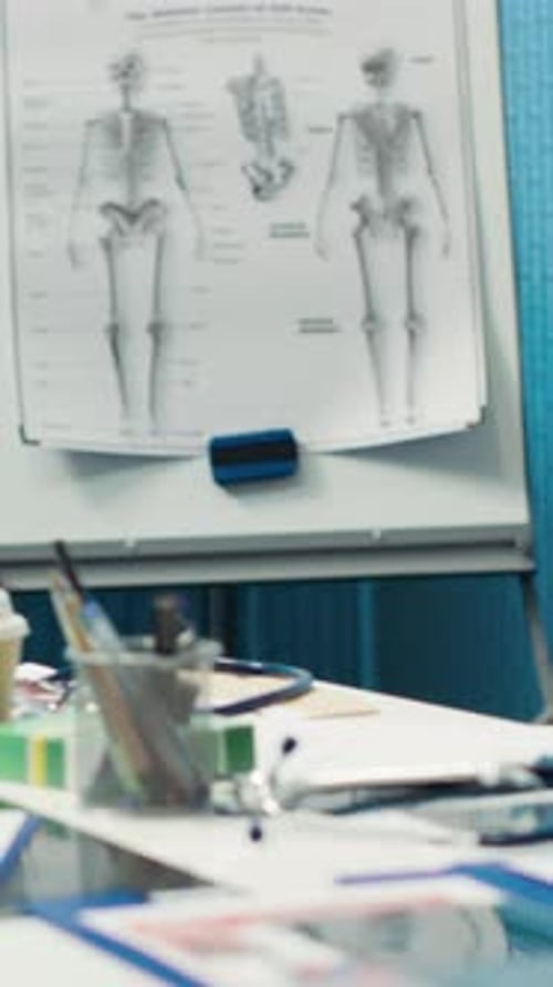 Human Skeleton Diagram in a Medical Office