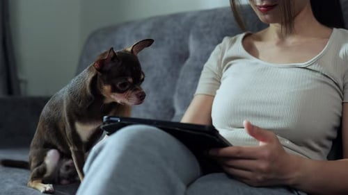 Woman Using Tablet with Her Dog on Couch