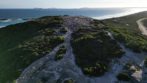 motocross bikers with a running dog travelling at the peak of the mountain, aerial