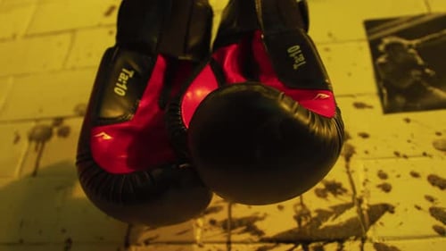 Close-up of boxing gloves hanging against a wall