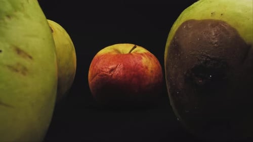 Aged apples and one that is rotting. The camera passes in between. Dolly shot with macro probe lens.