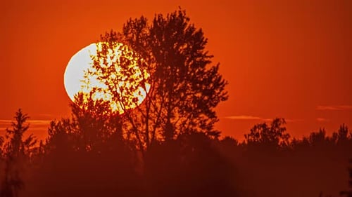 Zeitrafferaufnahme des Sonnenuntergangs hinter der fernen Waldskyline während der Abendzeit.