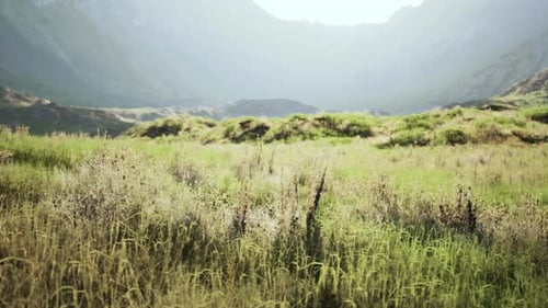 Mountainous Desert Scene with Rocky Terrain and Few Plants Mountain Sunset