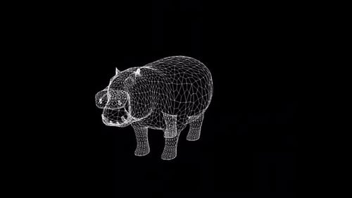 3D Wireframe Hippopotamus Rotating Model