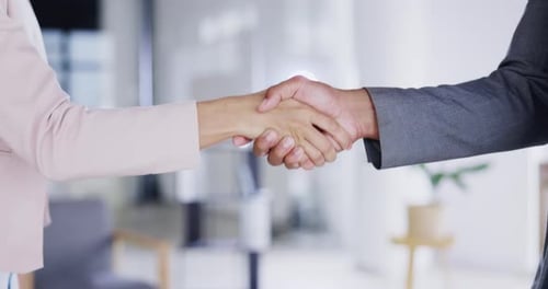 Partnership, collaboration and handshake in office for business deal, agreement or introduction