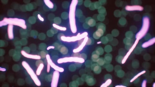 Vírus sob a visão microscópica para a educação