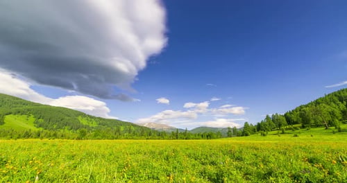 Mountain Meadow Timelapse at the Summer or Autumn Time