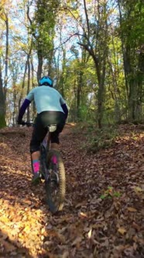 Cyclist Riding an Electric Mountain Bike Through a Lush Forest Trail on a Sunny Day