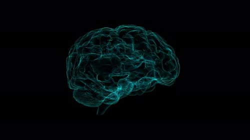 Rotating Holographic Brain Digital Particles Animation
