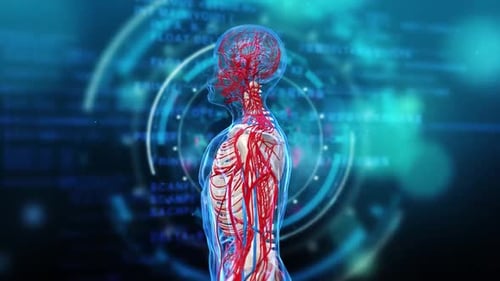 Animated 3D Human Anatomy System with Futuristic Interface