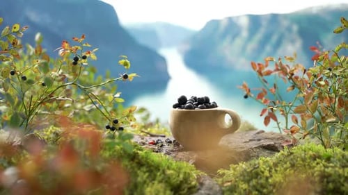 Wooden Cup of Blueberries in Mountain Nature Scene