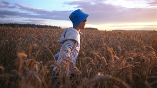Happy Teen Running Across a Wheat Field at Sunset Boy in the Field Run and Smiling in the Evening