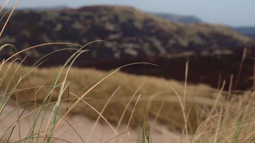 Panoramic view spanning from the the ocean to the countryside across an empty sandy beach, to the ro