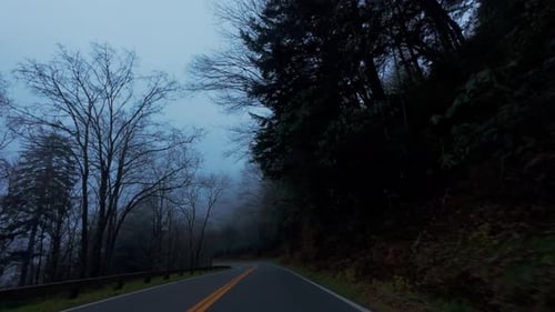 Foggy Mountain Road at Dusk Car Driving Through Thick Mist Winding Highway is Bordered By Dark
