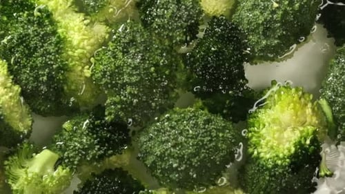 Des fleurons de brocoli lavés à l'eau scintillante de fraîcheur : une scène qui reflète l'importance de