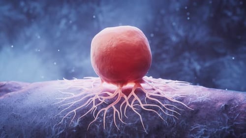 3D Microscopic Cell Spreading Root-like Tendrils Animation