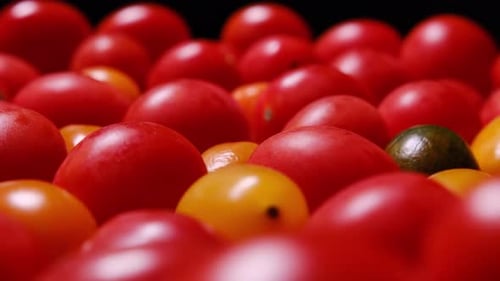 A Vivid and Vibrant Closeup of Red and Yellow Cherry Tomatoes Showcasing Their Freshness and