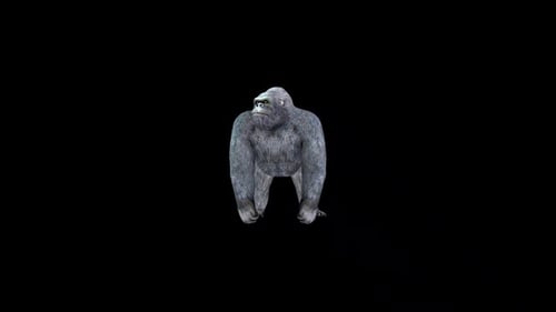 Gorilla Idle