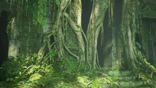 Mystical Portal Surrounded By Thick Roots and Hanging Vine Allure