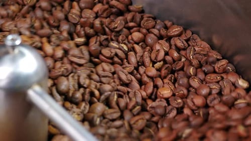Coffee Beans in Roaster Spinning Close Up Cooling Process Coffee Roaster Machine Mixing Aroma Beans