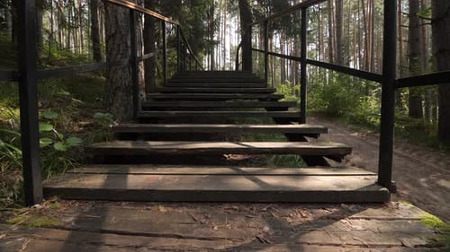 Wooden Staircase Leading Upwards Through Forest Landscape
