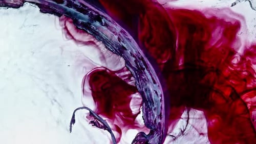 red ink and white fluid mixing in dramatic abstract close-up shot