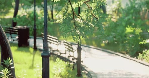 Lush Green Park with Benches and Winding Pathway During Daylight Hours